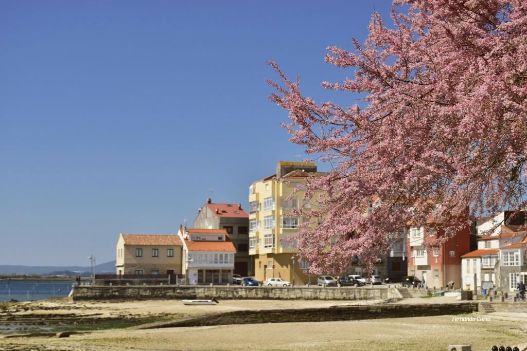 A Esmorga-Posada Del Mar Vilagarcia de Arousa Exterior foto